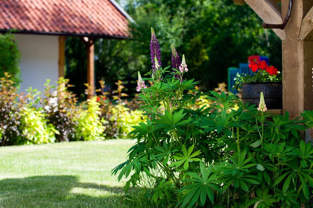Siedlisko Grabinowo K/Olsztyna Villa Екстериор снимка